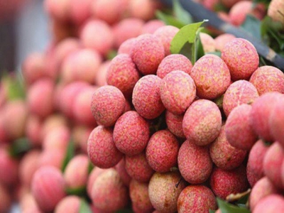 Thanh Ha litchi festival kicks off in Hai Duong province