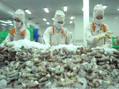 Soc Trang partners with Hiroshima to build clean shrimp brand