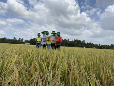 Farmers were overjoyed at the results of smart farming