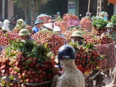 Vietnam seeks to export fresh fruits, vegetables to Thailand