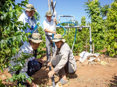 Bayer launches Velum solution helping farmers battle nematodes and maximise crop yields