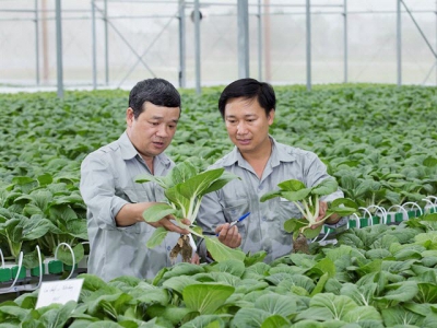 Hà Nội seeks investment for 11 farming projects