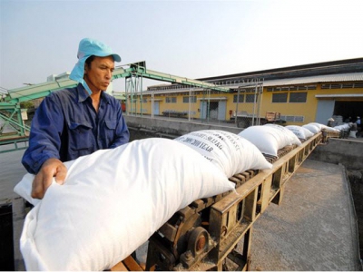 Philippine pivot does not impact on Vietnamese rice export