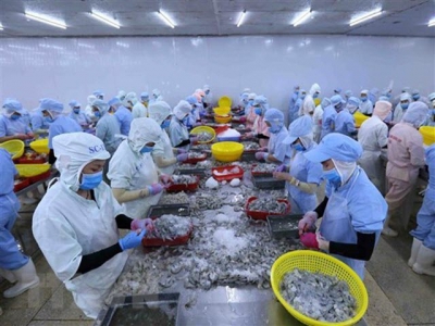 Vietnams shrimp exports forecast to reach 3.8 billion USD in 2020