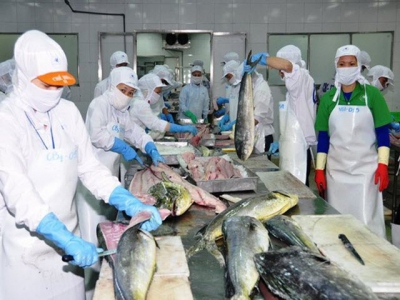 Seafood exports to drop 5 percent in Q2