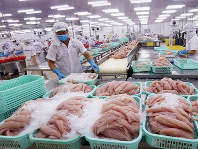 Anti-dumping duty on pangasius going to the US sharply decreases