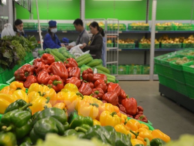US becomes Vietnams largest supplier of fruits, vegetables