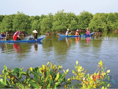 Bến Tre encourages to convert salt pens to shrimp farms