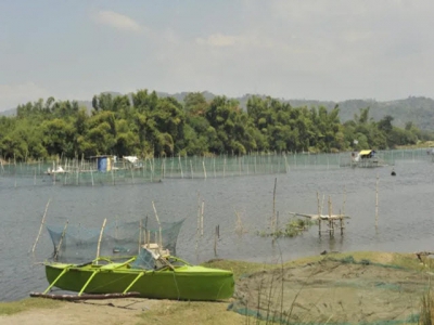 The app thats helping a new generation of Filipino fish and shrimp farmers