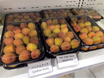 Fresh Vietnamese lychees hit the shelves in Japan