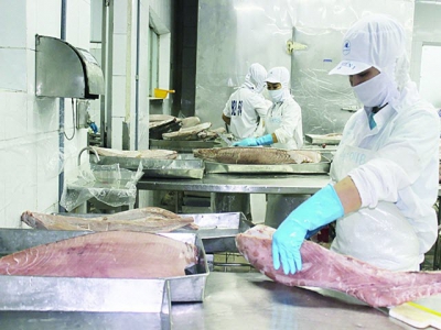The export of seafood changed because of the Covid-19 pandemic