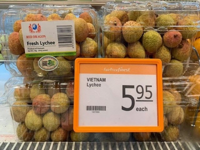 Vietnamese lychees increase presence in Singapore