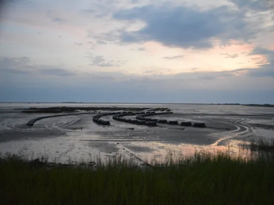 Wastewater breakthrough could fuel North Carolina aquaculture boom