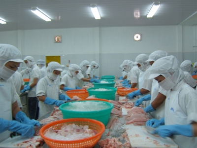 Việt Nams tra fish exports expected to continue recovering