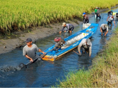 Đẩy mạnh phát triển mô hình tôm sạch, lúa an toàn