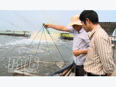 Tăng cường các biện pháp chống nóng trong nuôi trồng thủy sản