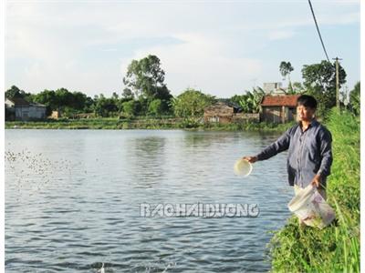 Có Bát Ăn Bát Để Nhờ Nuôi Cá