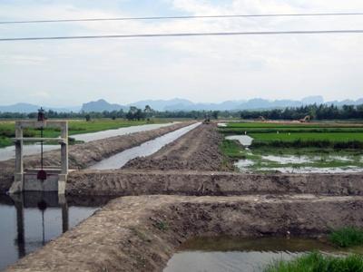 Nuôi Trồng Thủy Sản Tại Võ Ninh Cần Bảo Đảm Tính Bền Vững