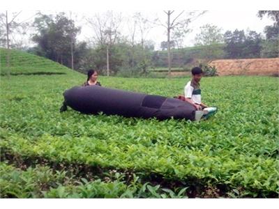 Thêm Vốn Cho Nông Dân Làm Giàu