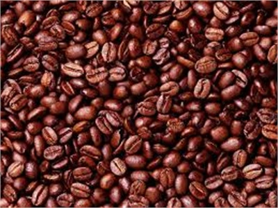 Nâng Cao Chất Lượng Sản Xuất Và Kinh Doanh Cà Phê Robusta