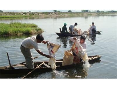 Thả Cá Bổ Sung Nguồn Lợi Thủy Sản Nhân Lên Ý Thức Bảo Vệ Nguồn Lợi Thủy Sản Tại Các Thủy Vực