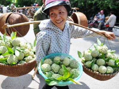 Na Chi Lăng đầu mùa giá cao