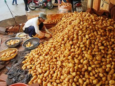 Nông sản Việt thấm đòn nhân dân tệ