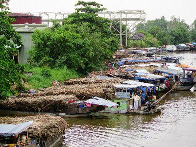 Giá đường Việt Nam gấp đôi Thái Lan