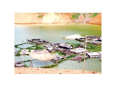 Hòa Bình giảm thiểu thiệt hại, phát triển nghề nuôi cá trên sông Đà