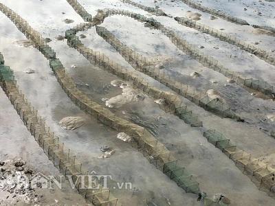 Tử địa của hải sản tầng đáy ở cảng cá Sa Huỳnh