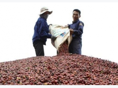 Tata builds freeze-dried coffee plant in Vietnam