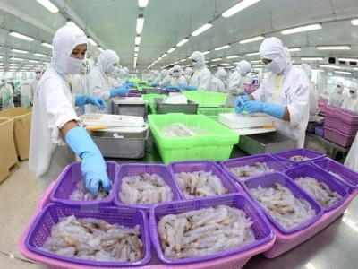 Seafood exports roses by 18.1 percent in 8 months