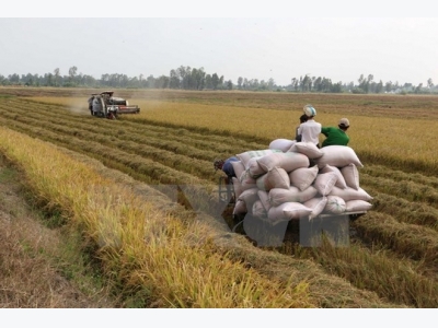 Vietnam, Mozambique discuss promoting agricultural ties