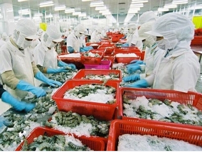 Chinese market promising for Vietnams shrimps as exports surge 30%