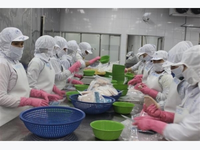 Despite of barriers, pangasius fish exports to the US still increases