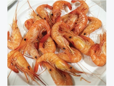 Warning: Shrimp salad may contain shrimp