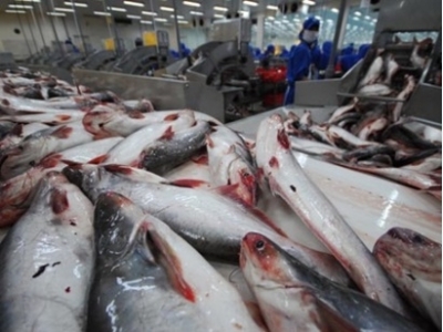 Giá cá tra nhập khẩu vào Mỹ chạm mốc 2 USD/pao