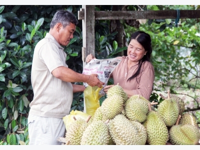 Đường sáng cho nông dân ổn định, bền vững