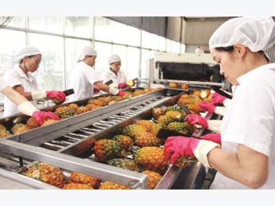 Vietnam expands fruit and vegetable export market