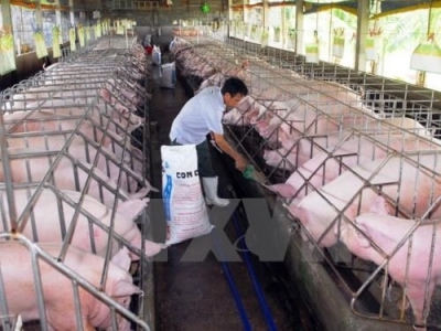 Vietnam tops ASEAN in animal feed production