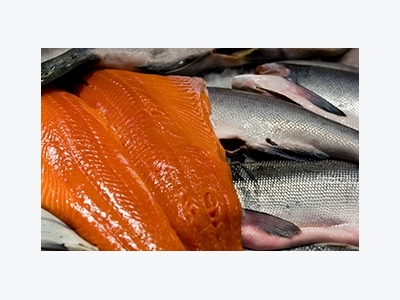 Prices dropping for Norwegian farmed salmon