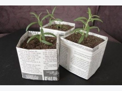 How to Make Sturdy Recycled Newspaper Pots