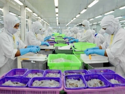 UK tops importers of Vietnams prawn in EU in 2016