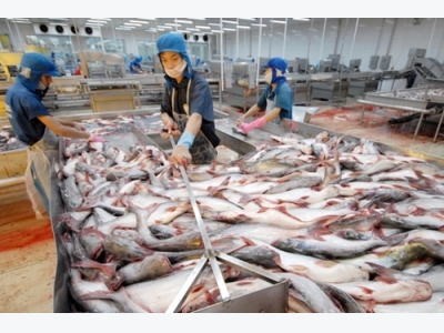 Two seafood kings see profits fall as business problems mount