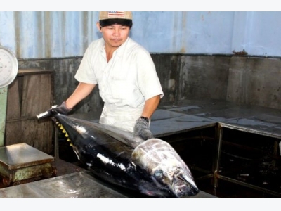 Seafood exports may reach US$8 billion this year