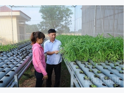 Bắc Giang to pour $66 million in hi-tech agricultural