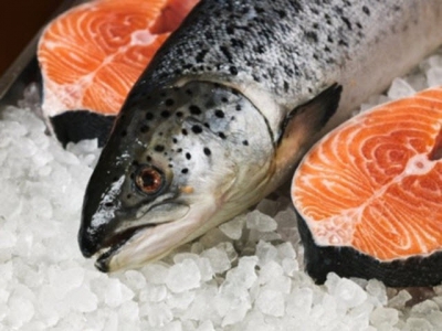 Sharp rise in imports of seafood