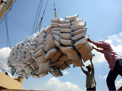 Vietnams rice exports on the rise