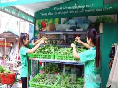 Vietnam shares experience on developing green agriculture at UN forum