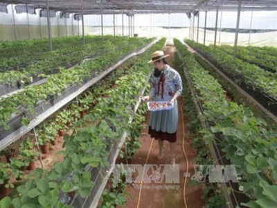 Lam Dong to set up new 215-ha high-tech agricultural farm